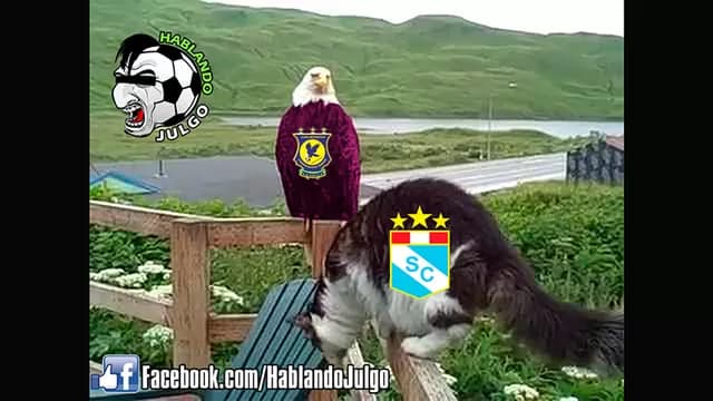 Foto: Internet-foto-5