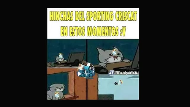 Foto: Internet.-foto-4