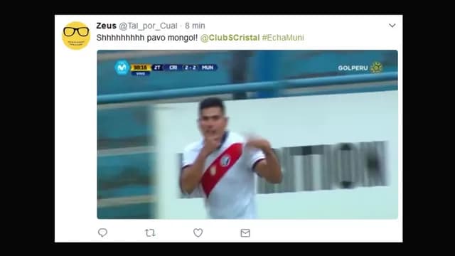 Foto: Internet.-foto-6