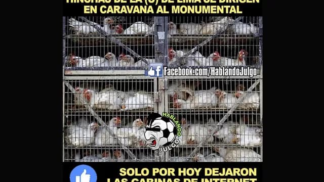 Foto: Internet-foto-3