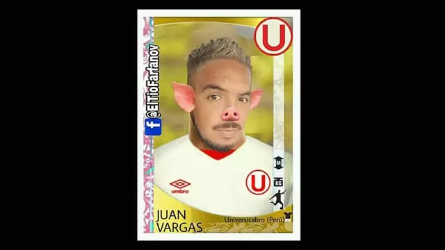 Foto: Internet-foto-1