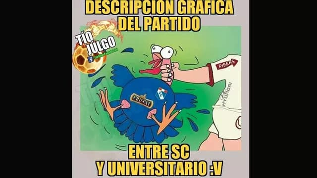 Foto: Internet.-foto-3