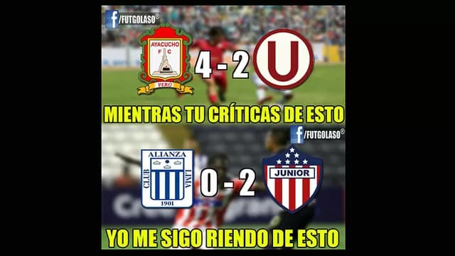 Foto: Internet-foto-4