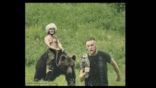 Los memes de la pelea Conor McGregor vs. Khabib.-foto-6