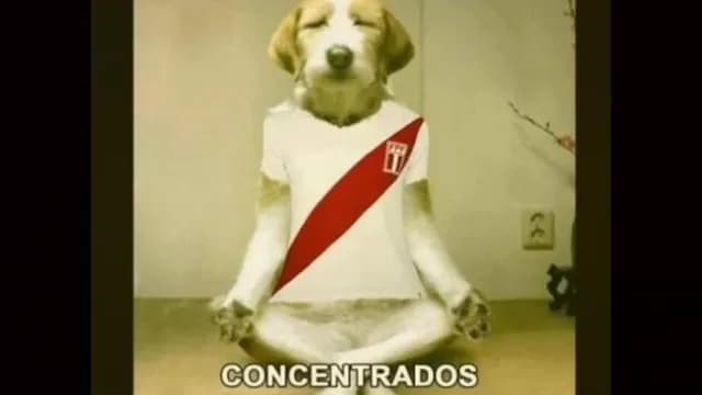 Mira los memes de la previa de la revancha peruana contra Paraguay-foto-4