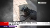 El Agustino: Niño quedó grave tras ser atacado por perro pitbull de su vecino