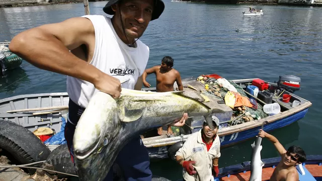 Pesca artesanal. Foto: Andina