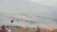 Áncash: Incendio forestal afectó 50 hectáreas del Parque Nacional Huascarán