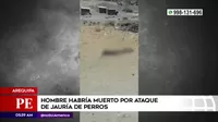 Arequipa: Hombre habría muerto por ataque de perros callejeros