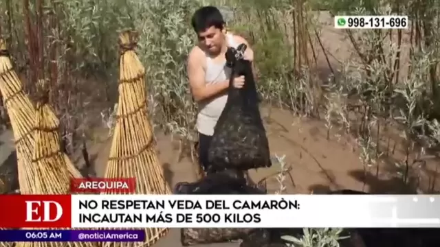 Arequipa: Incautan más de 500 kilos de camarón pese a veda
