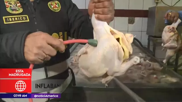 Ate: inflan pollos con agua contaminada en centros avícolas clandestinos