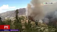 Ayacucho: Incendio forestal destruyó cultivos y viviendas