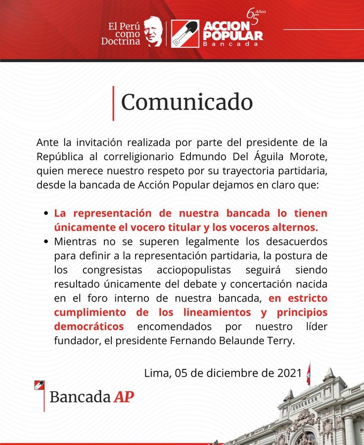 Bancada AP sobre invitación de Castillo a Del Águila: La representación la tienen los voceros