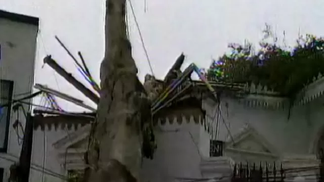 Barranco: Municipalidad retira árbol que cayó sobre una vivienda