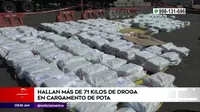 Callao: Policía halló más de 71 kilos de droga en cargamento de pota