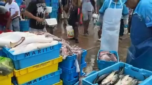 Semana Santa: Precios de pescados y mariscos se mantienen en terminal pesquero del Callao
