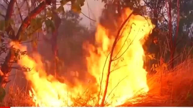 Incendios forestales siguen causando alarma. Foto: Captura América TV