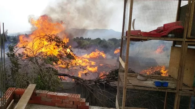 Incendio en Carabayllo. Foto: Twitter @CeciliaLoayza1