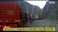 Sismo en Lima: Desprendimiento de rocas en algunos tramos Carretera Central