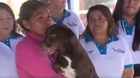 Cercado de Lima: Perros afectados tras incendio son atendidos