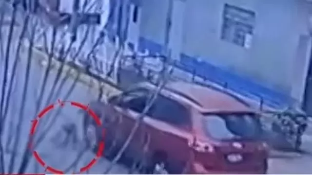 Cercado de Lima: Camioneta atropella y mata a perro