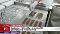 Chanchamayo: Elaboran chocolates a base de termitas y chicharras
