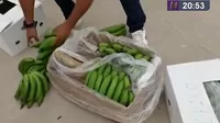 Chiclayo: Policía intervino camión con plátanos que trasladaba 37 kilos de marihuana