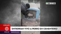 Chiclayo: Salvan a perro que fue enterrado vivo en cementerio