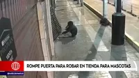 Chorrillos: Rompe puerta para robar en tienda para mascotas