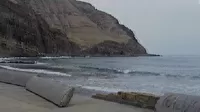 Chorrillos: vecinos denunciaron colapso del malecón de playa La Herradura