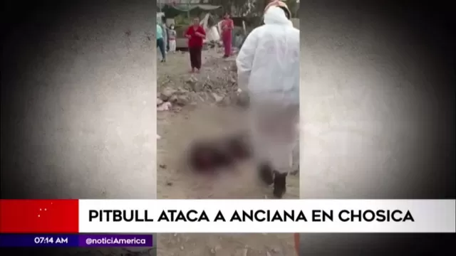 Chosica: Anciana fue atacada por perro pitbull