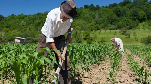 Congreso aprobó la creación del Ministerio de Desarrollo Agrario y Riego en reemplazo del Minagri