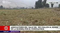 COVID-19: Agricultores del valle del río Chillón al borde de la quiebra