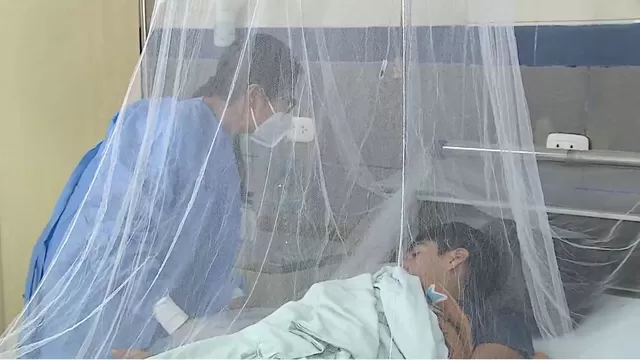 Dengue en Perú: 70 fallecidos y más de 60 mil personas con la enfermedad