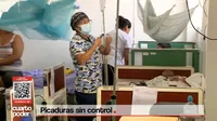 El dengue se desborda en Piura por falta de infraestructura y déficit de personal médico