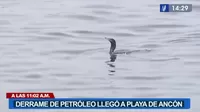 Derrame de petróleo llegó hasta playas de Ancón 