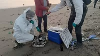 Ventanilla: Fiscalía realizó recorrido en playas para constatar posible derrame de petróleo