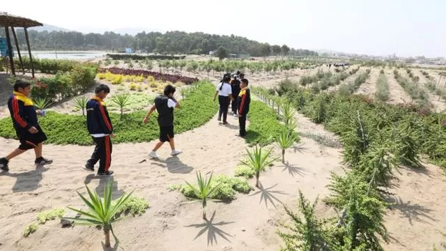 Día de la Tierra: escolares y Municipalidad de Lima plantan más de 300 árboles