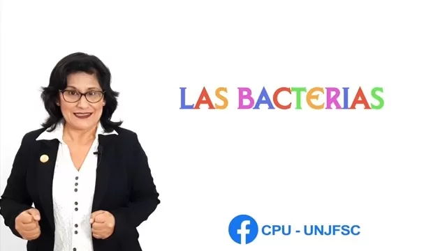 Dos minutos para aprender: Las bacterias