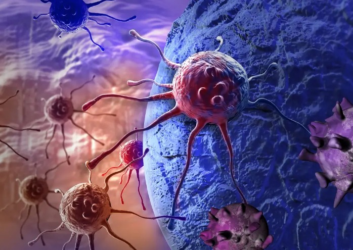 Nuevo compuesto que actúa sobre las células madre cancerígenas. Foto: Andina
