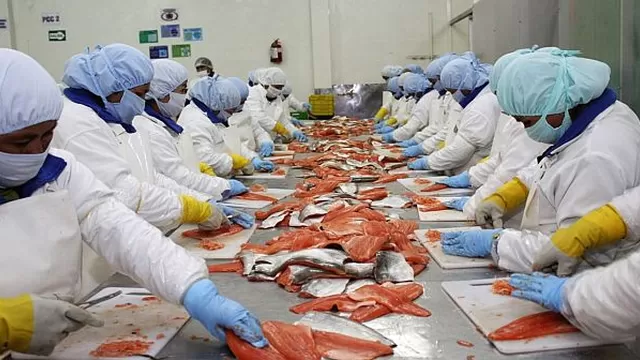 Exportaciones pesqueras sumarían US$ 1,800 millones al cierre de este año
