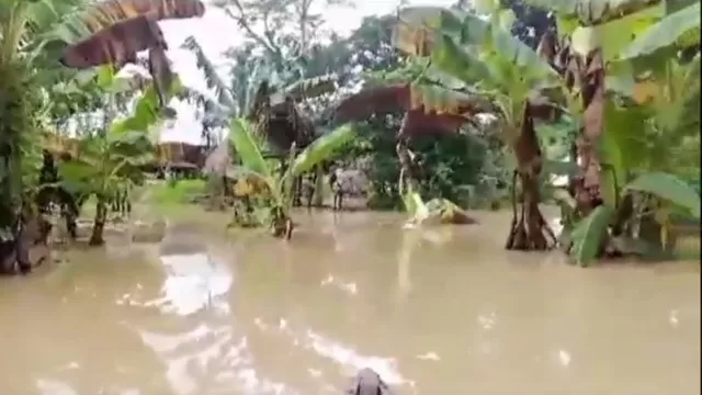 Fuertes lluvias generaron inundación de comunidades nativas de Ucayali