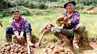 Segunda reforma agraria: Castillo anunció la creación de un gabinete de desarrollo agrario y rural