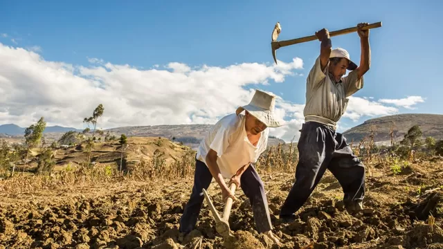 "Hemos perdido 120 mil empleos", advirtió la Asociación de Gremios de Productores Agrarios