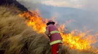 Indeci: Se registraron 591 incendios forestales en lo que va del año