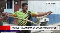 Iquitos: Padres encontraron una boa mientras limpiaban colegio