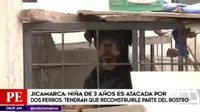 Jicamarca: niña de 3 años fue atacada por un perro pitbull
