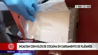 Lambayeque: Incautan cien kilos de cocaína en cargamento de plátanos
