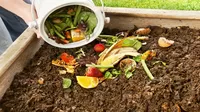 Lima Compost: aprende cómo hacer abono orgánico en casa
