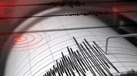 Lima: Sismo de magnitud 4.5 se registró en Cañete